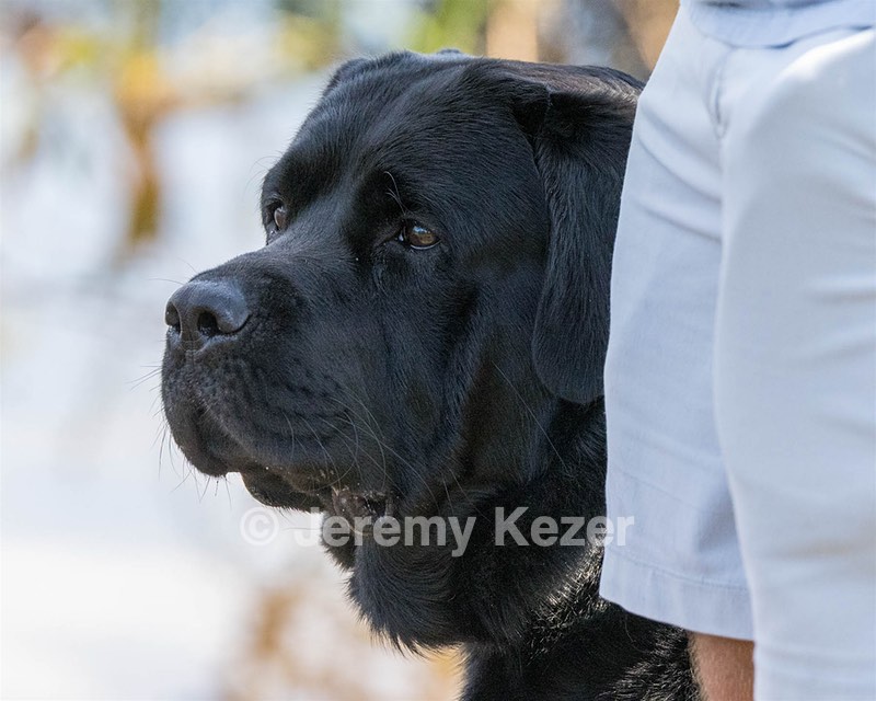 Remy Fiedorowicz
