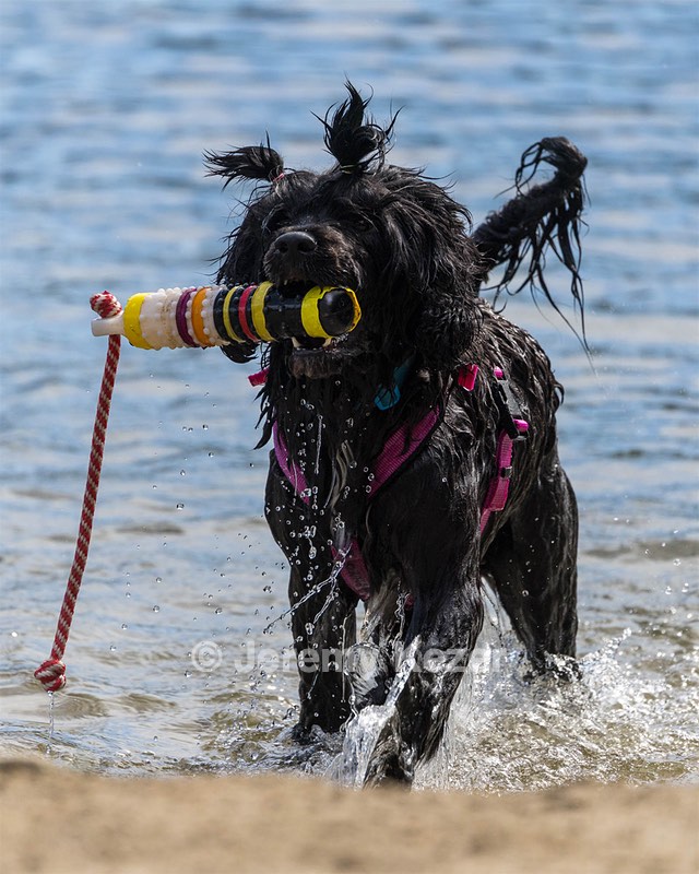 Penny Toby-Ann