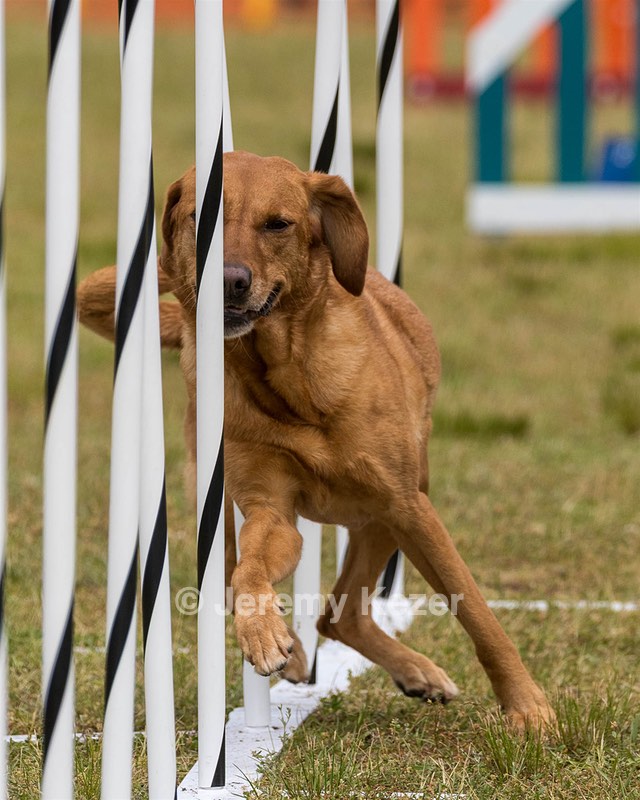 20190616-CCKC-1574.jpg