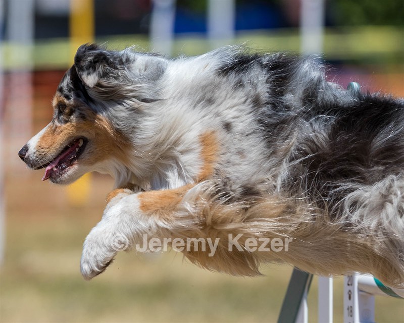 Keebler Derby