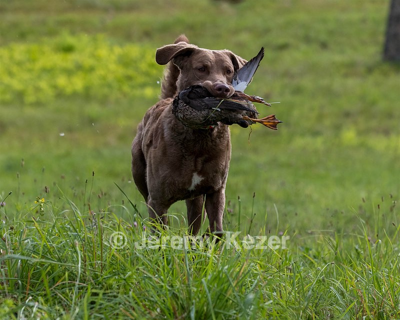 Timber O'Neil