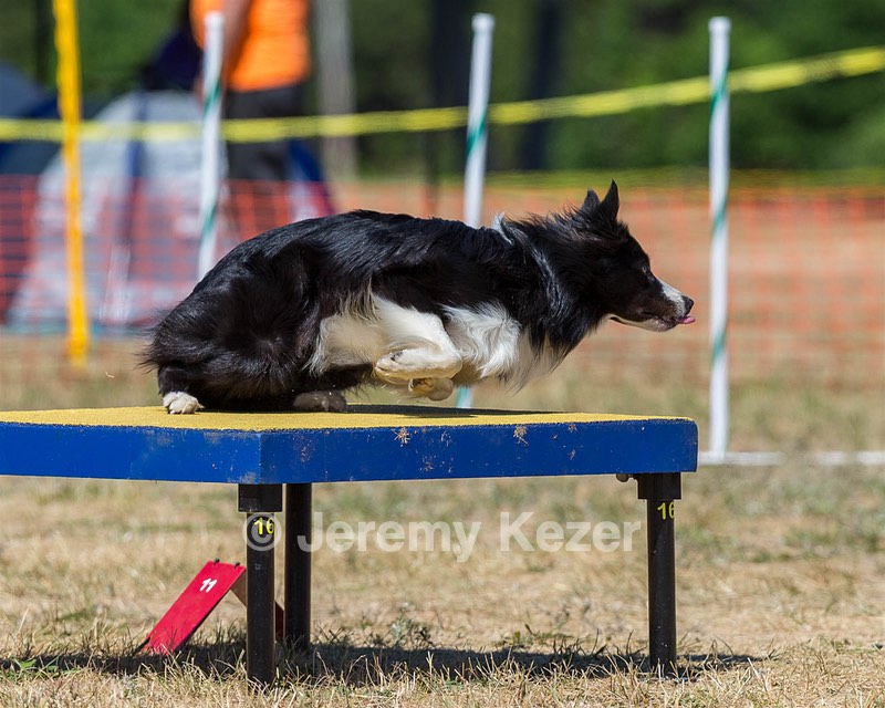 20160619-CCKC-1457.jpg