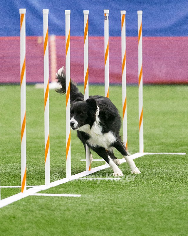 20150322-LEAP-0921.jpg