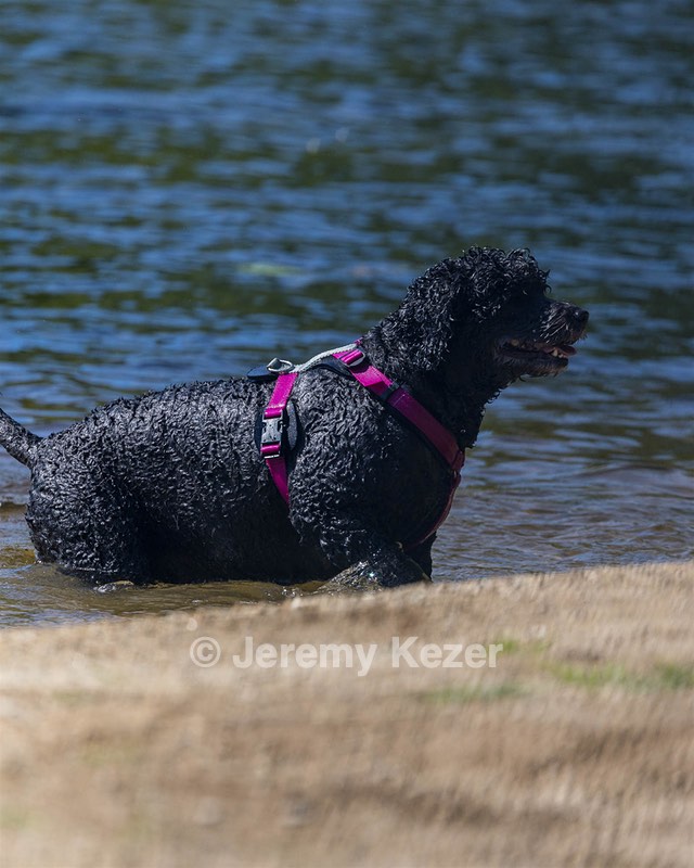 Tango Abbruzzese