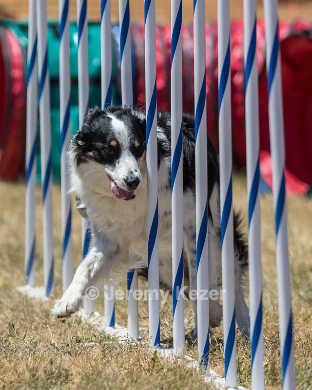 20160618-CCKC-1449.jpg