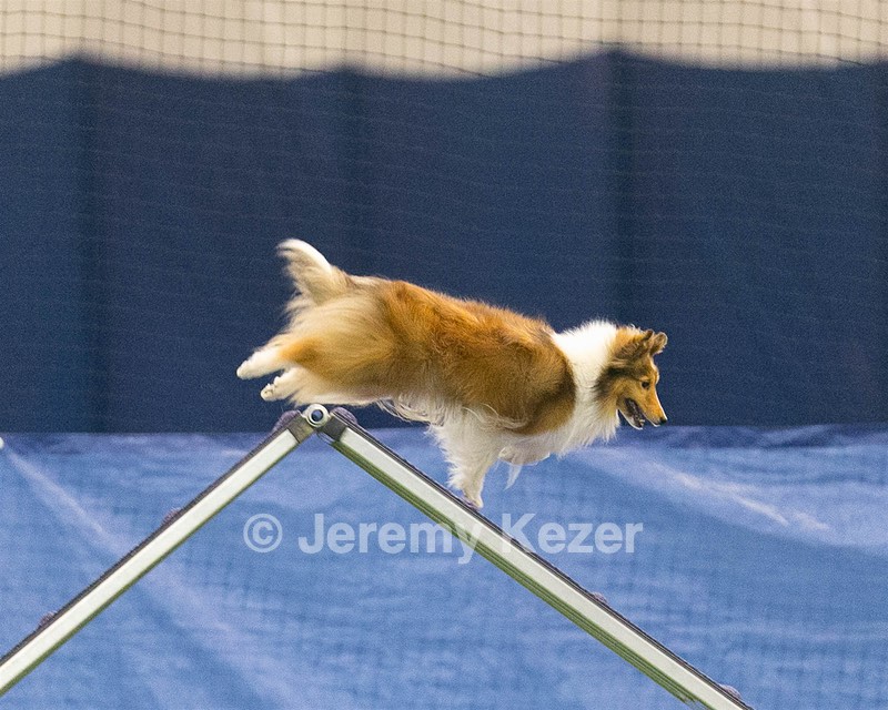 20150321-LEAP-1619.jpg