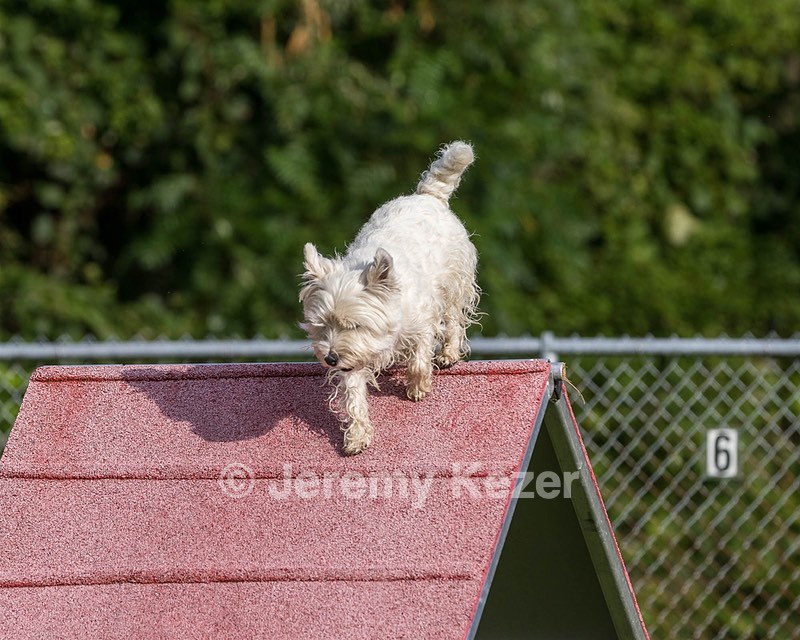 Ivy Barnum