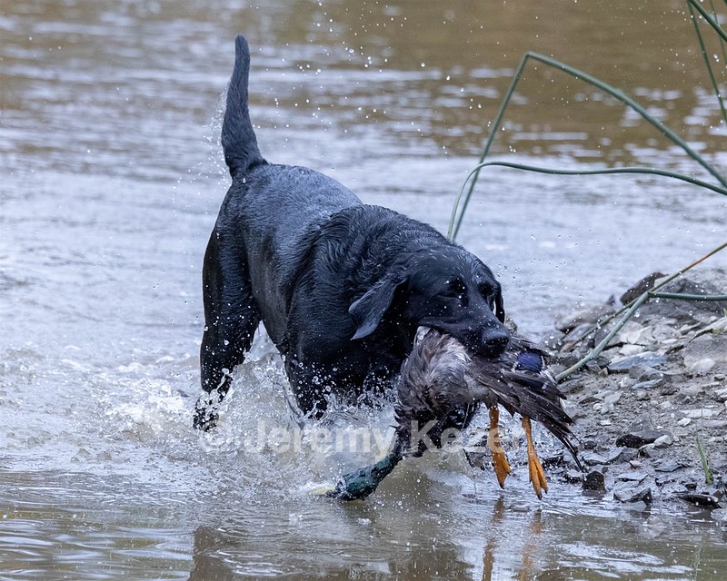 Teegan Kennedy