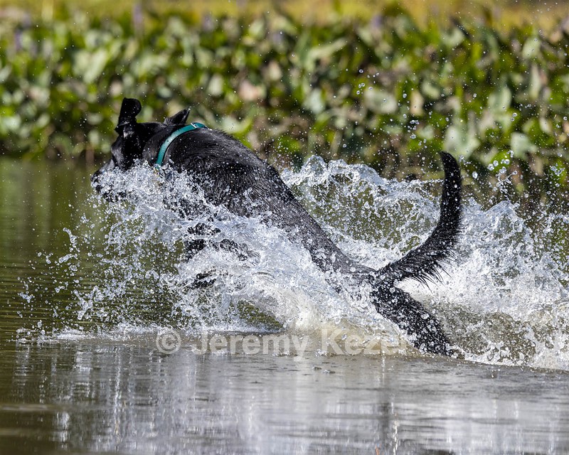 Finn DeMayo