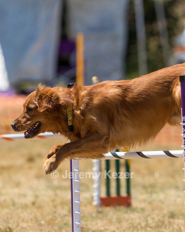 20160618-CCKC-1376.jpg