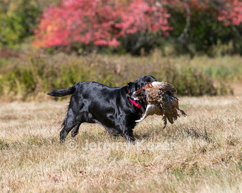20151010-WCL-0037.jpg