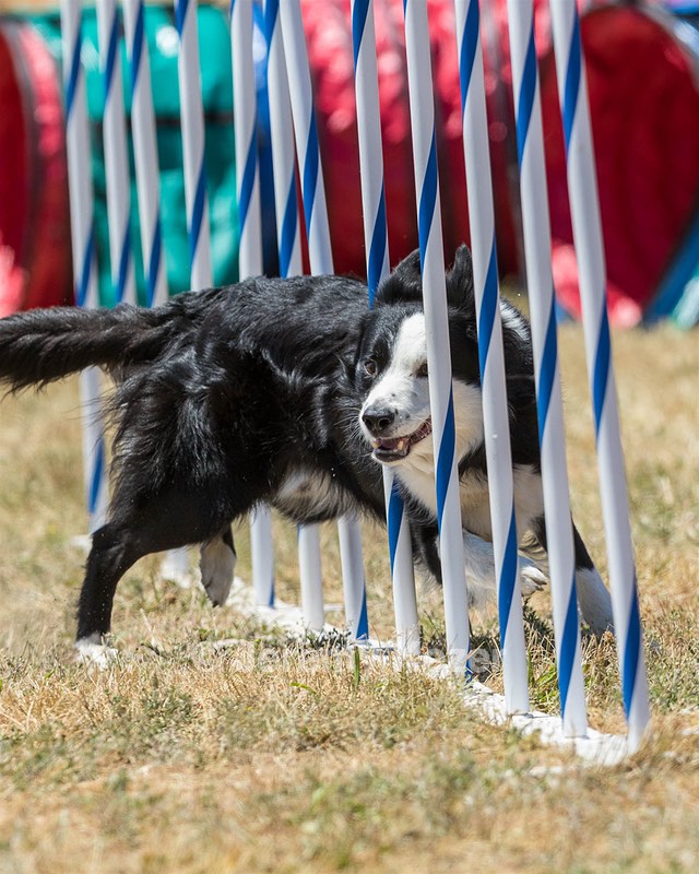 20160618-CCKC-1539.jpg