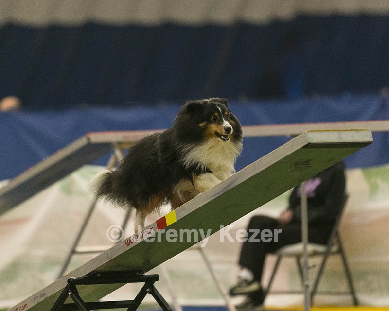 20150321-LEAP-1277.jpg