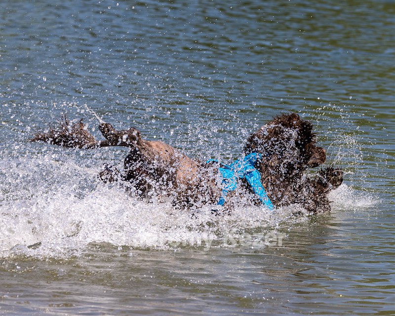 Smudge Lefebvre