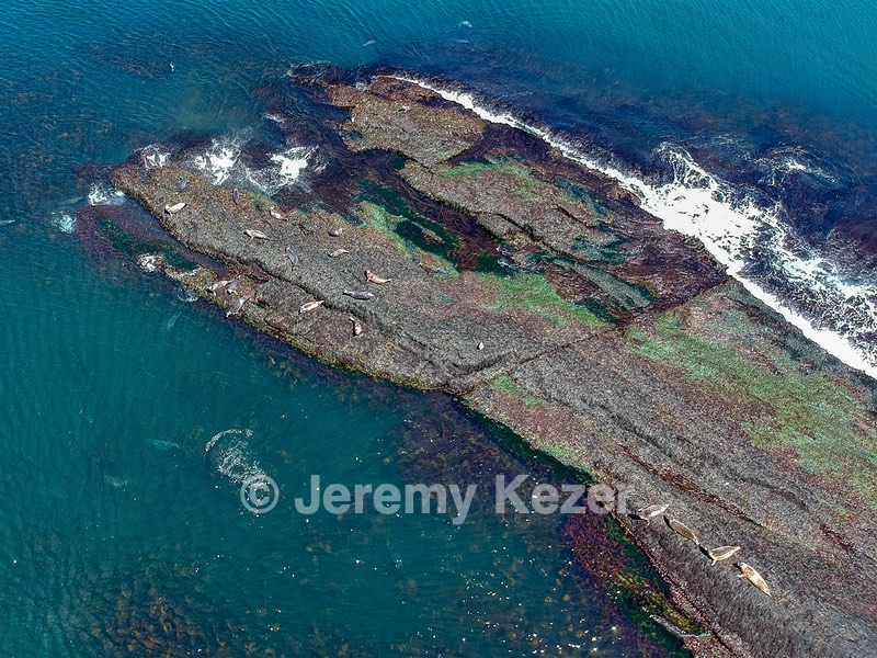 DCIM/101MEDIA/DJI_0043.JPG