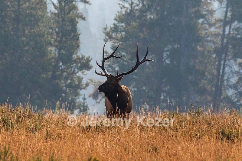 Yellowstone National Park
