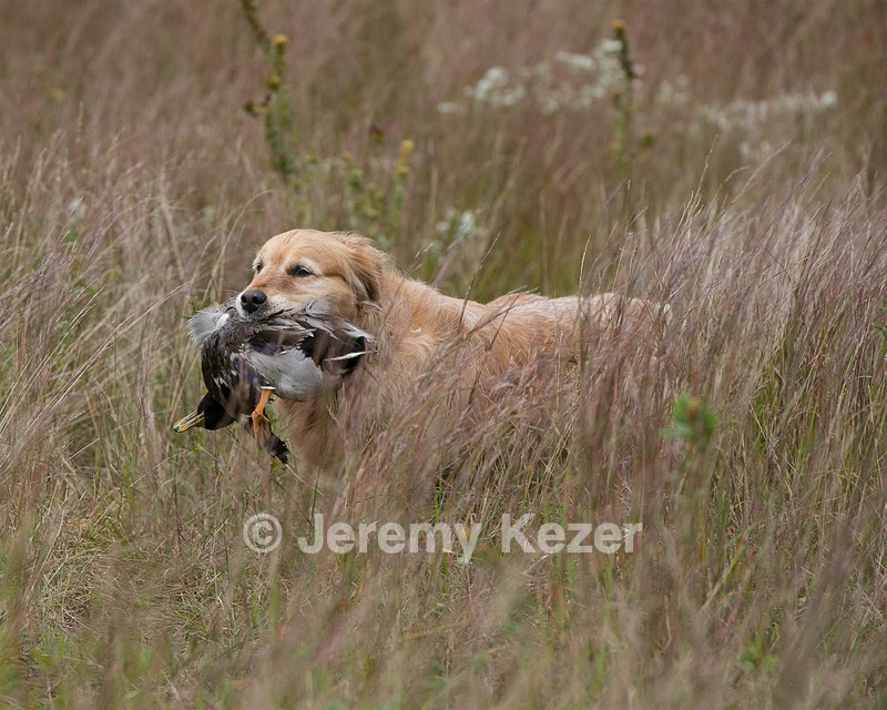 20130921-WCL-0009.jpg