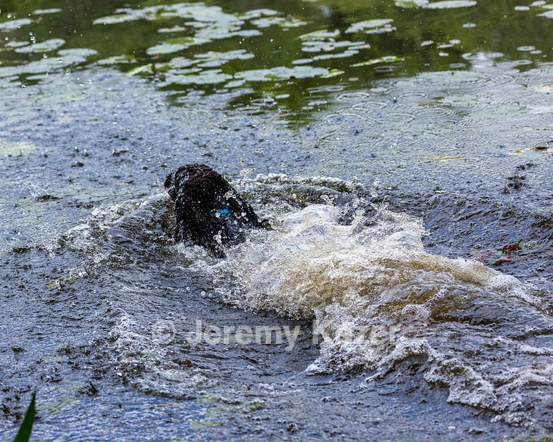 Ghillie Kezer