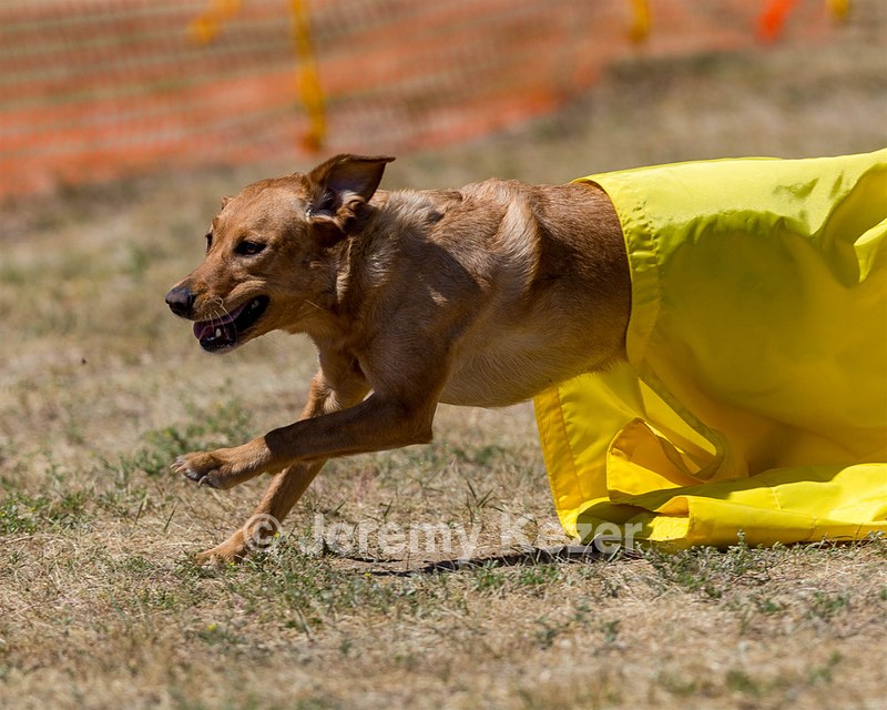 20160619-CCKC-1471.jpg