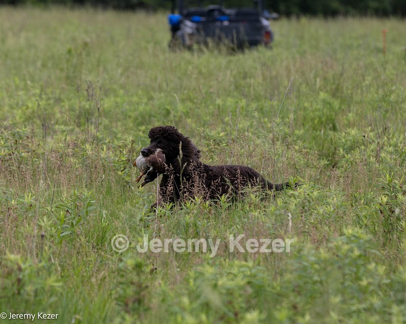 Finn MacCool