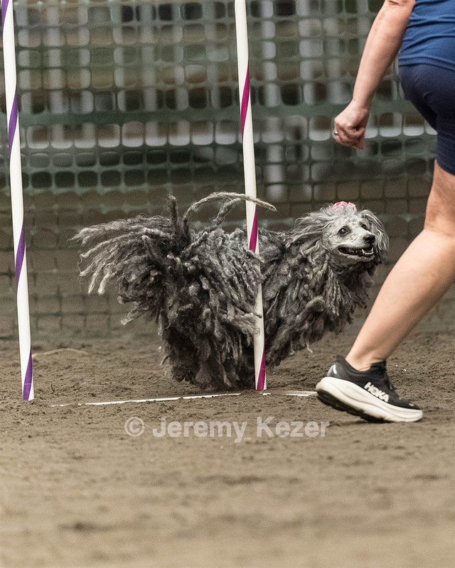 Peetie Sulewski