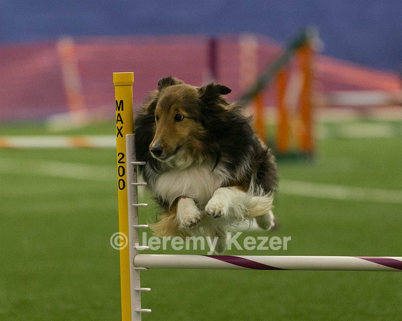 20150321-LEAP-1322.jpg