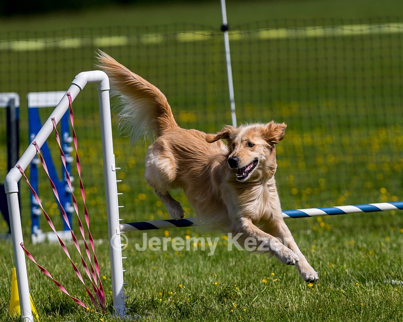 Ollie Erbe