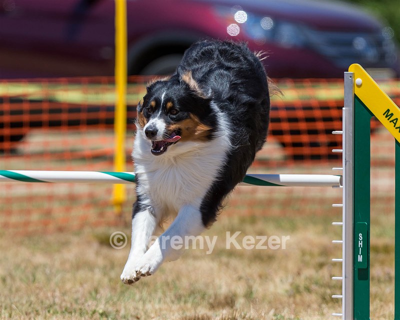20160619-CCKC-1018.jpg