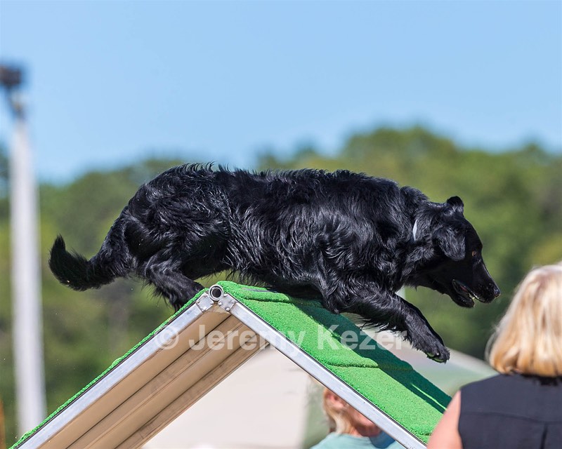 Gunner McCluer