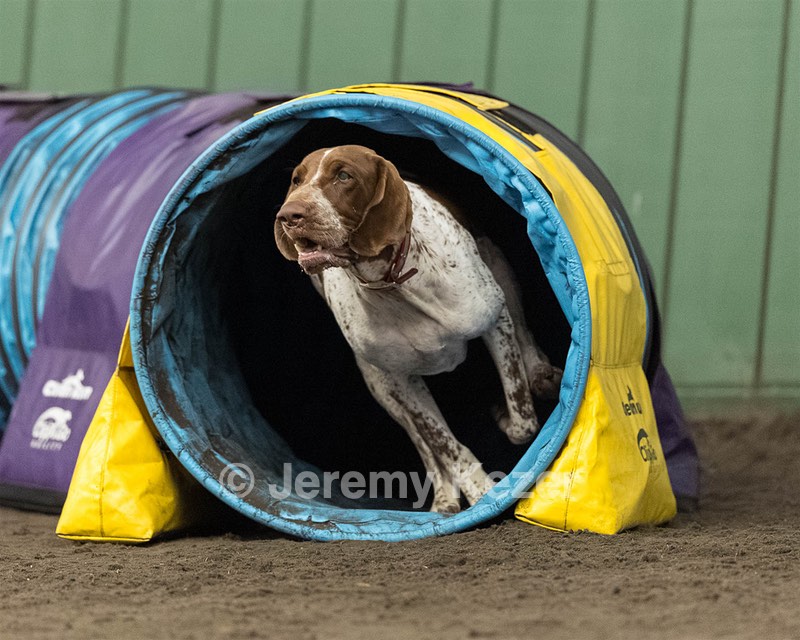 Faith Gamache