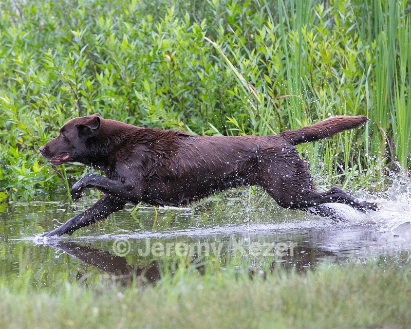 20130713-MHB2-0359.jpg