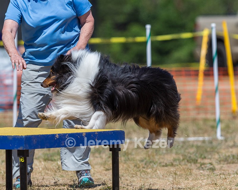 20160619-CCKC-1258.jpg