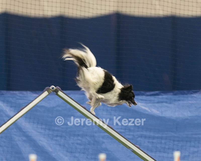20150321-LEAP-1675.jpg