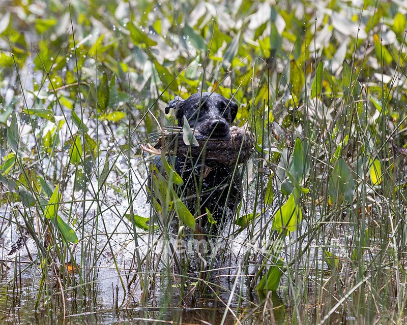 20210807-SHW-0110.jpg