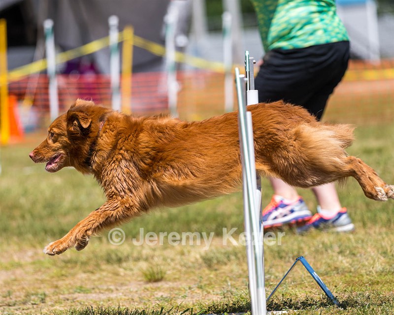 20180617-1436.jpg