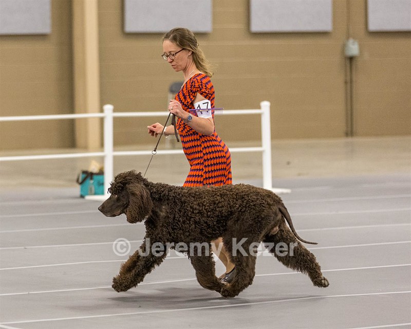 17 - Ballyhoo’s V Finnegan Mcneill BN FDC CA BCAT DS DJ CGCA TKN VHMA JH JHU WD