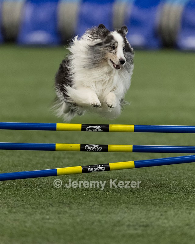 Stormy Dabrowski