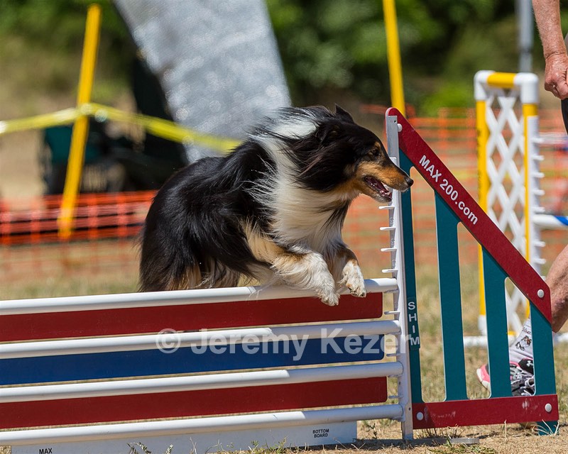 20160619-CCKC-1213.jpg
