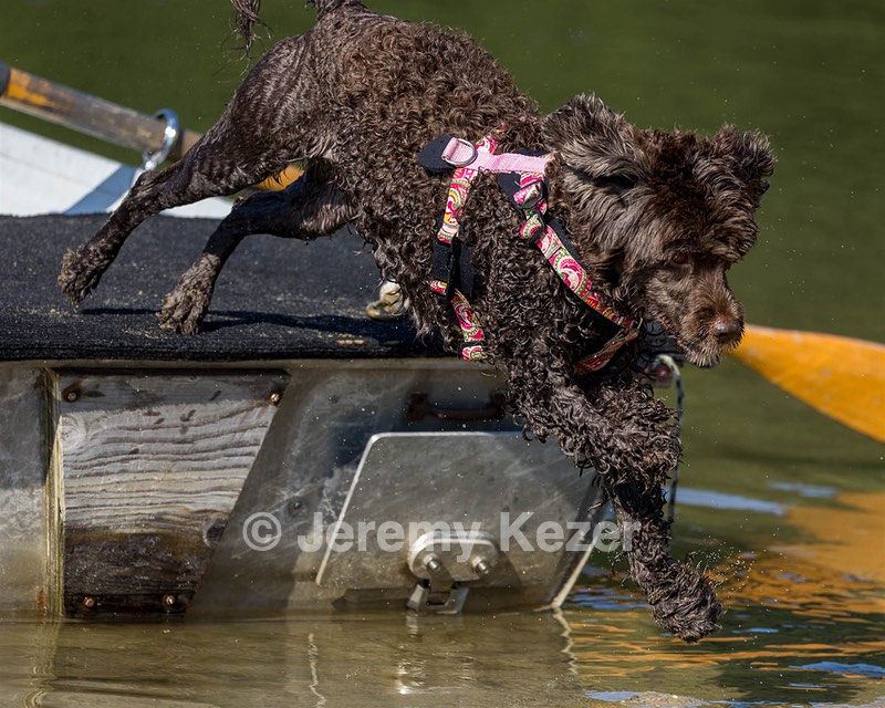 Tootsie Totten
