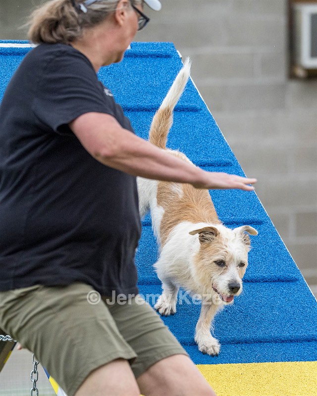 Tank Vedder