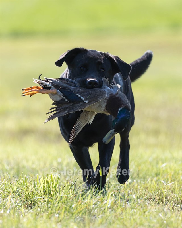 Bailey Spencer