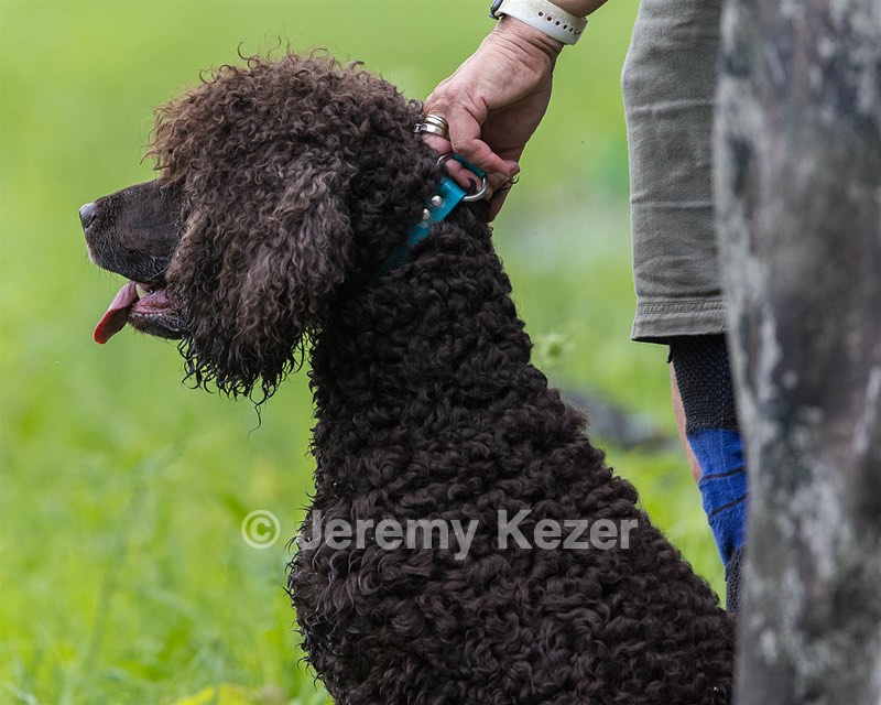 Ghillie Kezer