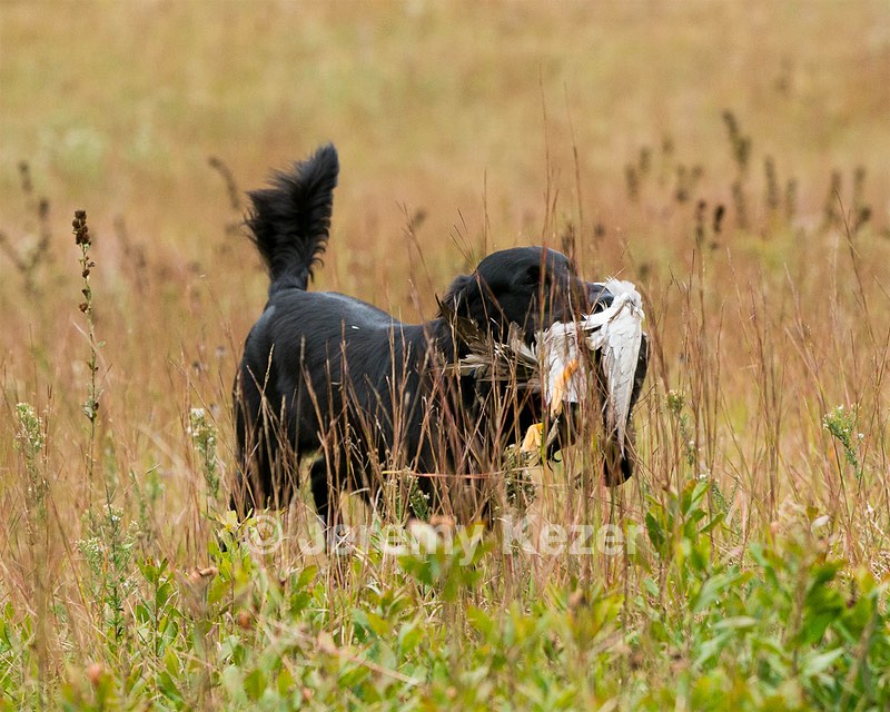 20141004-WCL-0008.jpg