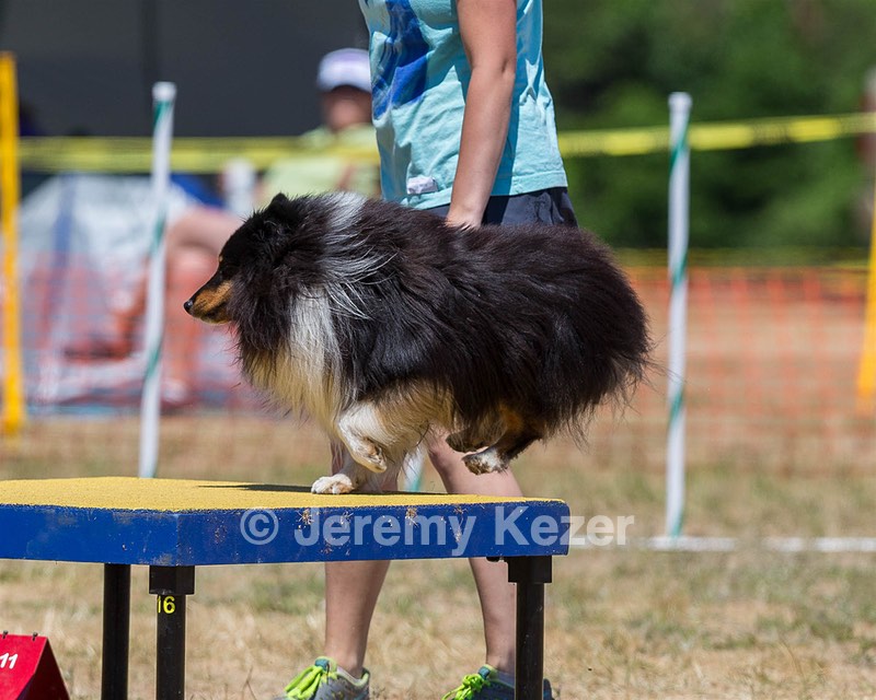20160619-CCKC-1251.jpg