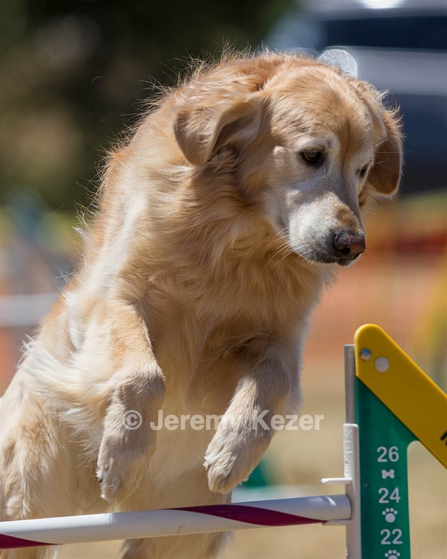 20160618-CCKC-1056.jpg