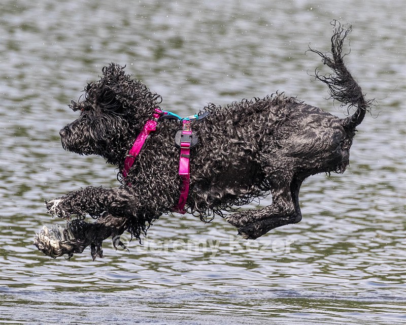 "Mistral" & Tobi-Ann