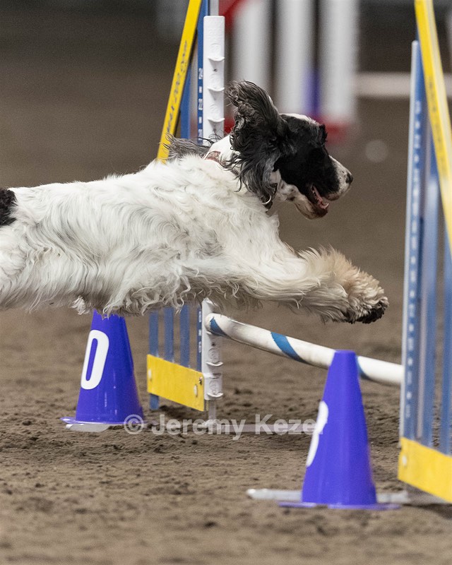 Piper Deyette