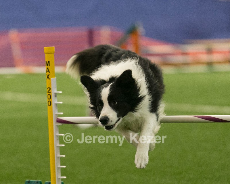 20150321-LEAP-0939.jpg