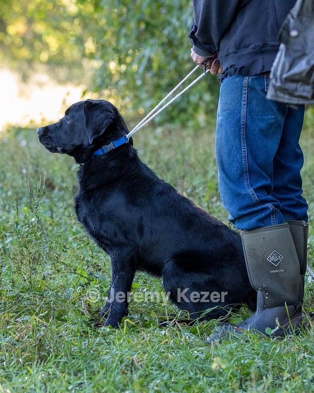 Ranger schuko