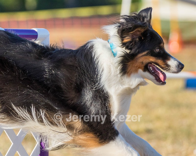 Kona Destremps